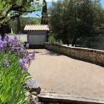 Lavandin 3 Allemagne-en-Provence